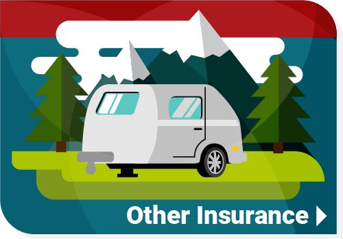 Other Insurance Options